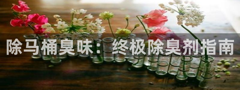 尊龙凯时官方网站下载：除马桶臭味：终极除臭剂指南