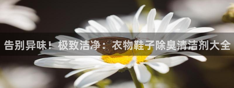 尊龙凯时ag旗舰厅登陆：告别异味！极致洁净：衣物鞋子除臭